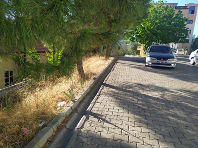 BÜYÜMEDEN SÖNDÜRÜLDÜ