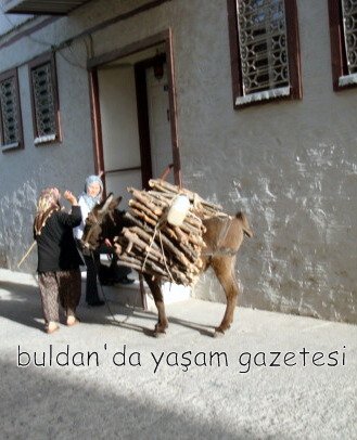 ÇAĞ SARICISI
