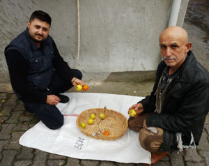 YAĞMUR GELİNİ GELENEĞİ