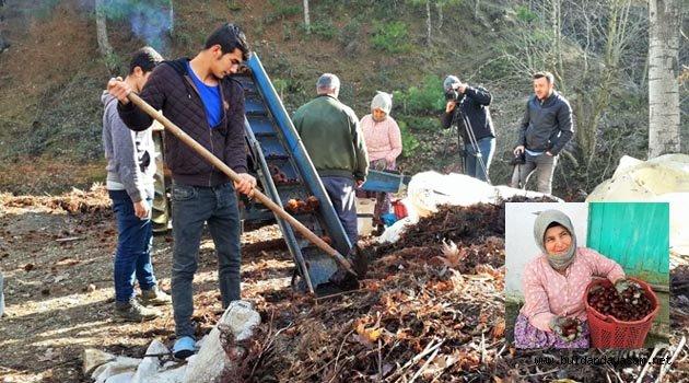 1100 RAKIMDAN SUUDİ ARABİSTAN'A