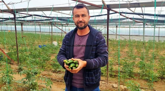 YAYLA SERACILIĞI GELİŞİYOR