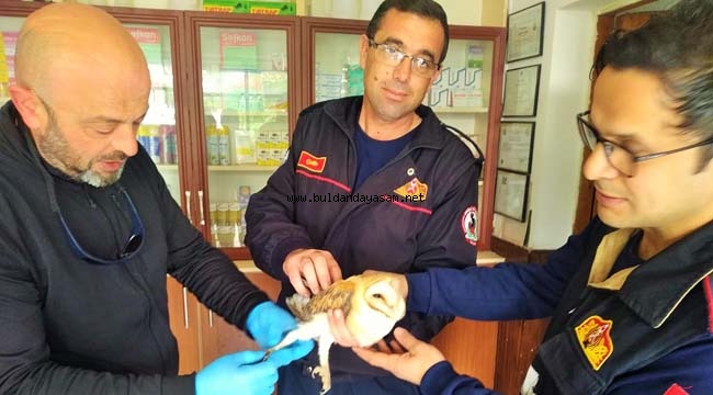 YARALI BAYKUŞU İTFAİYECİLER KURTARDI