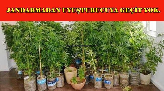 JANDARMA YİNE “DUR” DEDİ