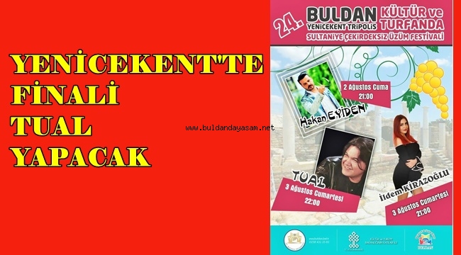 YENİCEKENT FESTİVALİ 2-3 AĞUSTOSTA