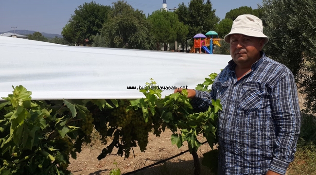 TENTEYE DE DESTEK VERİLSİN