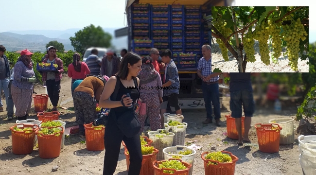 ÜZÜMCÜ FATURALARDAN DERTLİ