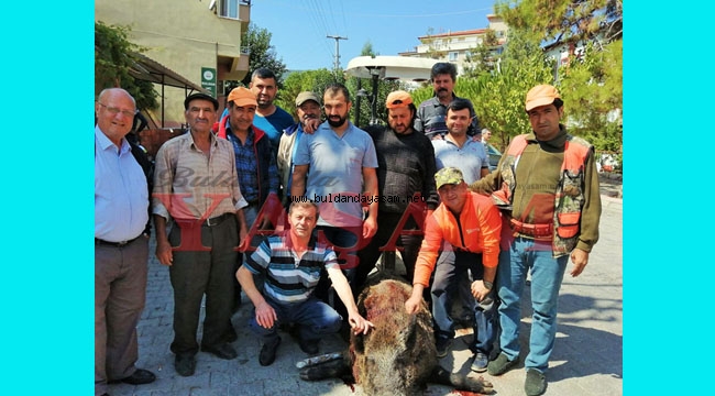 YILIN EN BÜYÜK DOMUZU VURULDU
