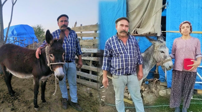 EŞEK SÜTÜ İLGİ GÖRÜYOR