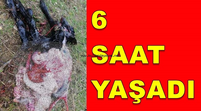 İÇ ORGANLARI DIŞARIDA DOĞDU, ALTI SAAT YAŞADI