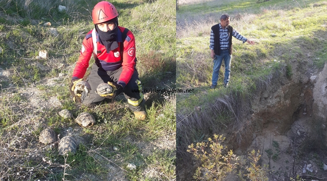 KAPLUMBAĞALARI İTFAİYE KURTARDI