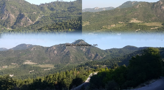 DOĞA KENDİNİ YENİLEDİ