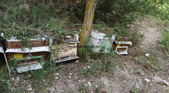 KOVANLAR BULUNDU, HIRSIZLAR TAKİPTE