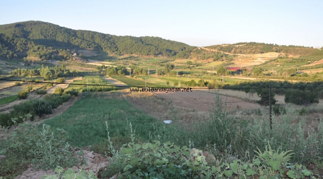 YAZIK OLACAK BU GÜZELLİĞE