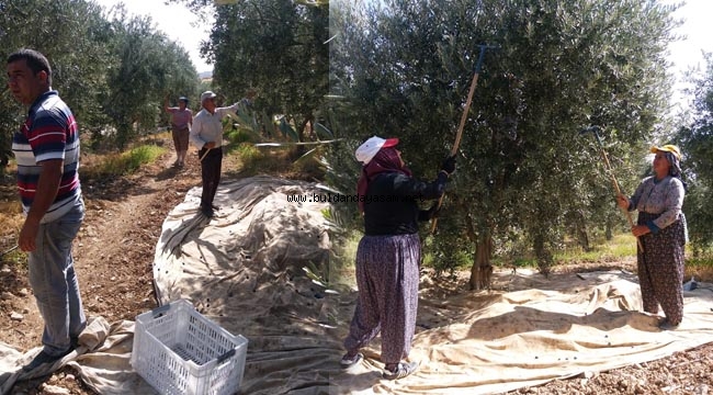 OVADA YÜKSEK, YÜKSEKLERDE DÜŞÜK