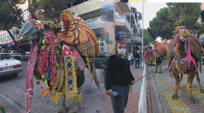 DEVELER KORONAYA TAKILDI