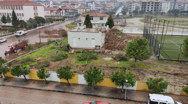 AĞAÇ KESİMİNE VATANDAŞLARDAN TEPKİ