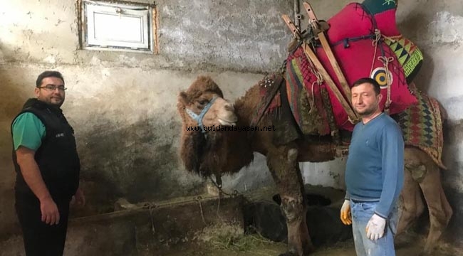ÇILGIN CAMBAZ BULDAN’DA