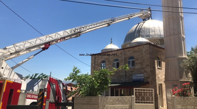 LEYLEKLERİ İTFAİYECİLER KURTARDI