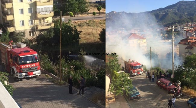 BÜYÜMEDEN SÖNDÜRÜLDÜ