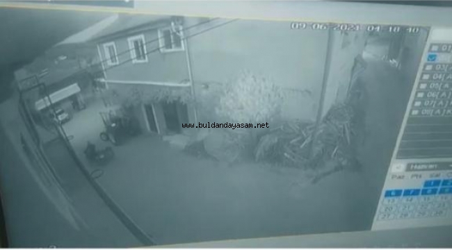 MOTOR HIRSIZI KAMERAYA YAKALANDI