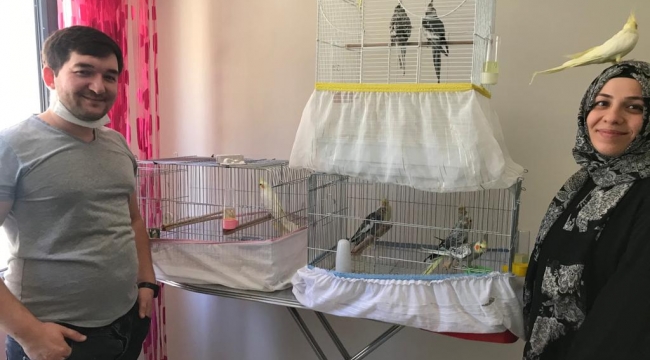 Sevgileriyle birlikte papağanları da arttı