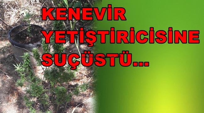 SUÇÜSTÜ YAKALANDI