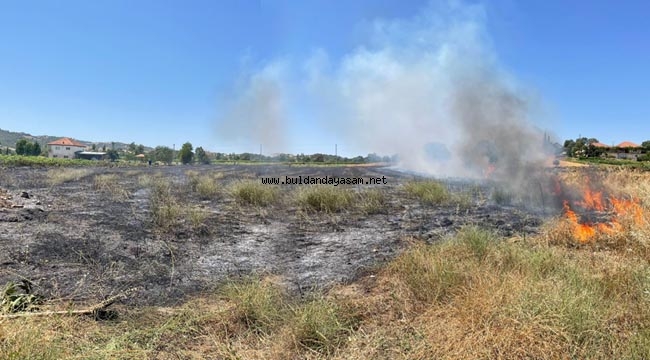 TARLADA ÇIKAN YANGIN KORKUTTU