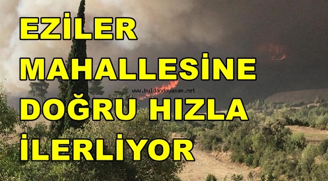 TÜRLÜBEY YANGINI YENİDEN VE HIZLA YAYILIYOR