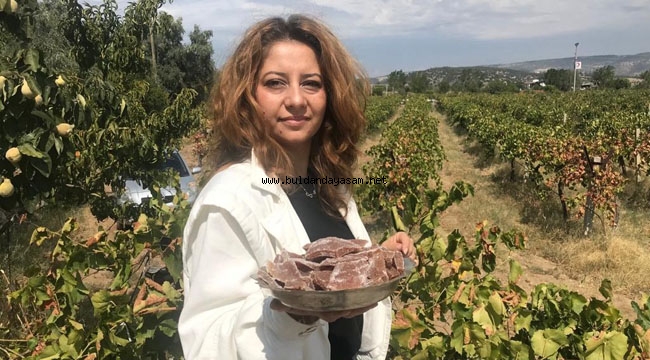 ÜZÜM KÖFTESİ ŞİFA KAYNAĞI