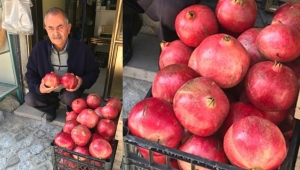 NAR YÜZ GÜLDÜRÜYOR