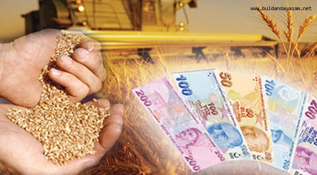 ÇİFTÇİYE DEKAR BAŞINA 42 TL DESTEK SAĞLANACAK