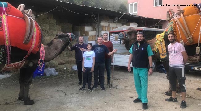 DEVELER HAVUTLARINI KUŞANDI