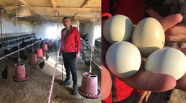 “MAVİ YUMURTA ŞİFA DAĞITIYOR”