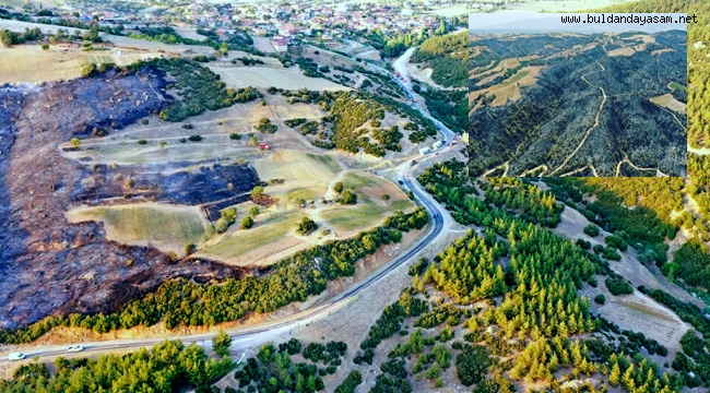 YARALAR SARILIYOR