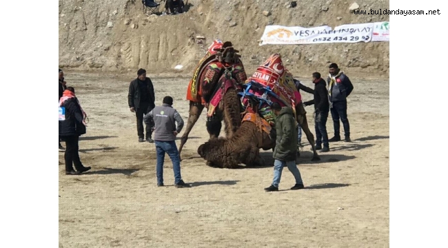 SOĞUĞA RAĞMEN GÜREŞLER NEFESLERİ KESTİ