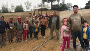 ÇİFTÇİ ADAÇAYINA YÖNELDİ
