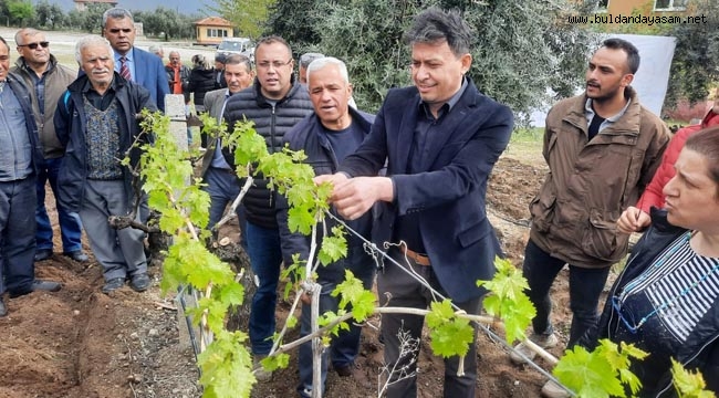 ÜZÜMCÜYE BÜYÜKŞEHİR DESTEK VERDİ