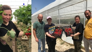 MÜHENDİSTİLER, SERACI OLDULAR