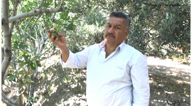 “İĞLEK” KALİTEYİ YÜKSELTİYOR