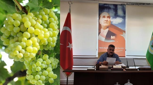 “ÜZÜM TABAN FİYATI ACİLEN AÇIKLANMALIDIR”