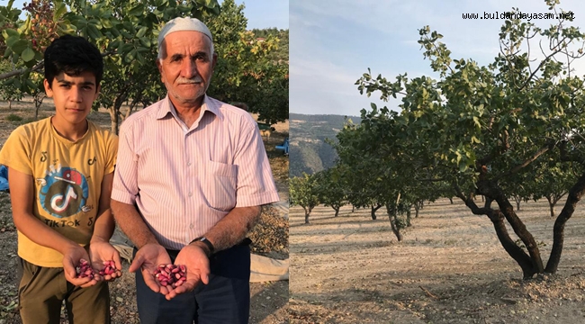 “GENÇLER GELECEK İÇİN ANTEP FISTIĞI DİKSİNLER”