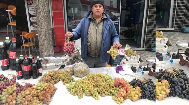 1000 rakımda yetişiyor, büyük ilgi görüyor