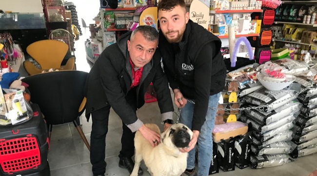 Dostlarımız çiplendi