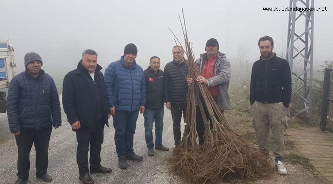 KESTANELER EKONOMİYE KATKI YAPACAK
