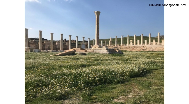 TRİPOLİS BAHARDA BİR BAŞKA GÜZEL