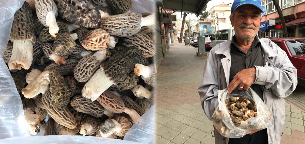KUZUGÖBEĞİ YÜZ GÜLDÜRÜYOR