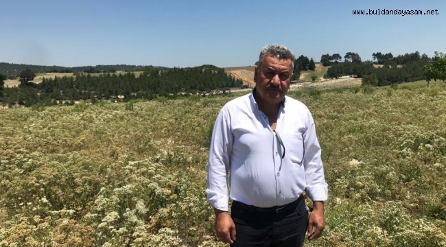 "KEKİĞİMİZE SAHİP ÇIKALIM"