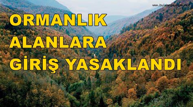 ORMANLIK ALANLARDA PİKNİK YAPMAK YASAKLANDI