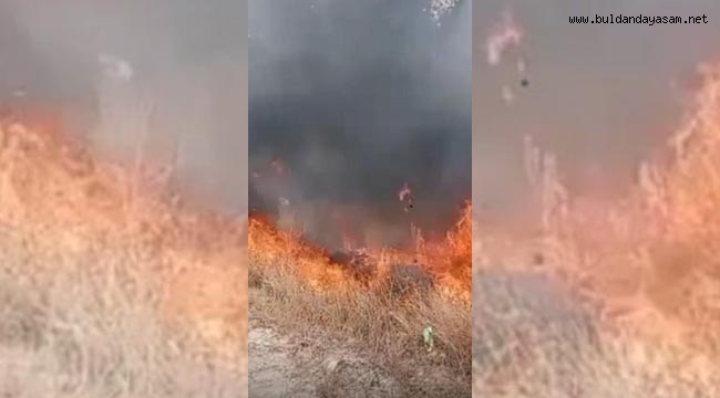 BÜYÜMEDEN SÖNDÜRÜLDÜ