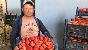 YAYLA’DA YETİŞİYOR, EGE BÖLGESİNE SUNULUYOR